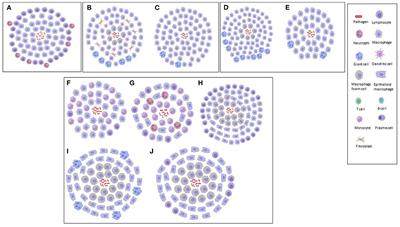 Tuberculous Granuloma: Emerging Insights From Proteomics and Metabolomics